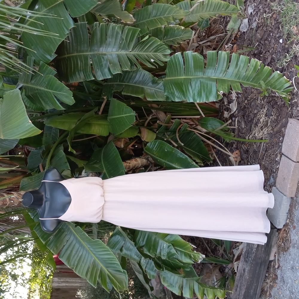 Birdy Grey spaghetti strap gown